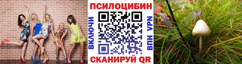 купить наркотик  ОМГ ОМГ ссылки  Галлюциногенные грибы Psilocybe  Зима 