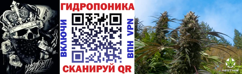 где купить наркоту  Зима  Канабис SATIVA & INDICA 